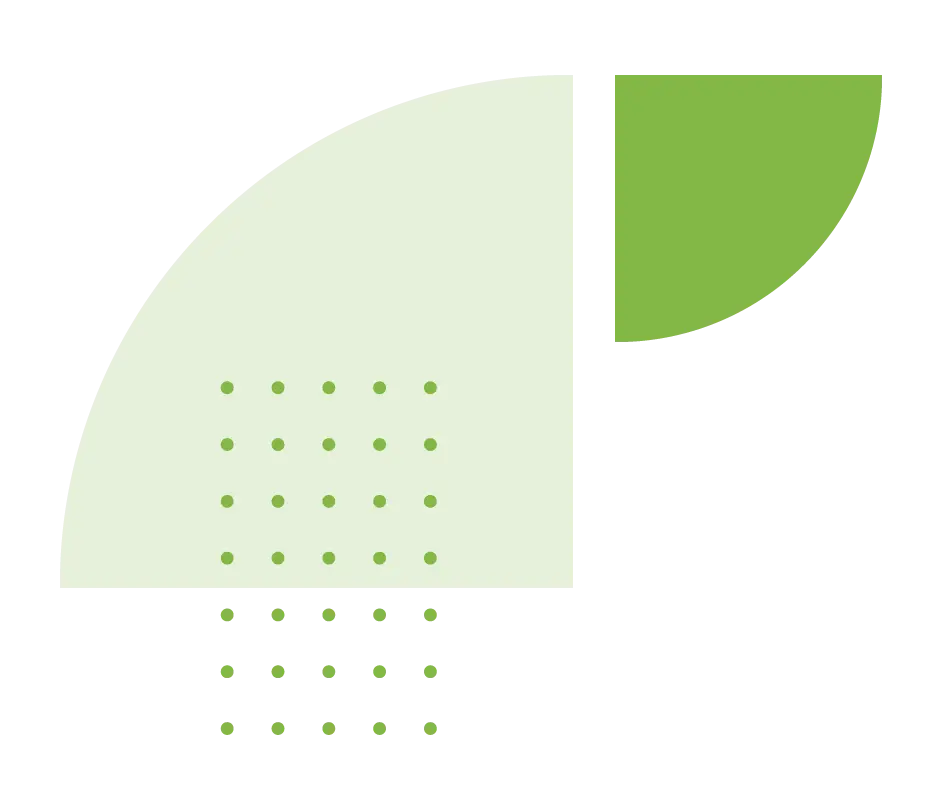 Shape 01